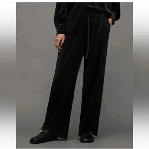 NWT All Saints Tyler Velvet Wide Leg Trouser Pants size 6